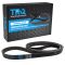 Serpentine Belt