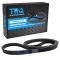 Serpentine Belt