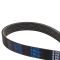 Serpentine Belt