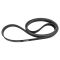 Serpentine Belt