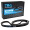 Serpentine Belt