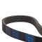 Serpentine Belt