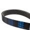 Serpentine Belt