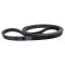 Serpentine Belt