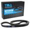 Serpentine Belt