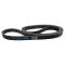 Serpentine Belt