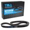 Serpentine Belt