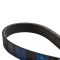 Serpentine Belt