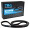 Serpentine Belt