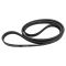Serpentine Belt