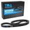 Serpentine Belt