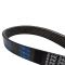 Serpentine Belt