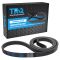 Serpentine Belt