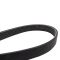 Serpentine Belt