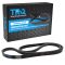 Serpentine Belt