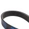 Serpentine Belt