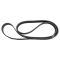 Serpentine Belt