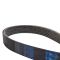 Serpentine Belt