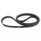 Serpentine Belt