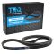 Serpentine Belt