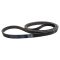 Serpentine Belt