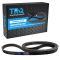 Serpentine Belt