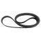Serpentine Belt