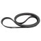 Serpentine Belt