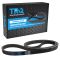 Serpentine Belt