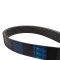 Serpentine Belt