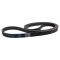 Serpentine Belt