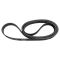 Serpentine Belt