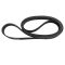 Serpentine Belt
