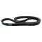 Serpentine Belt