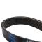 Serpentine Belt