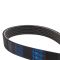 Serpentine Belt