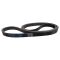 Serpentine Belt