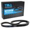 Serpentine Belt
