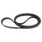 Serpentine Belt