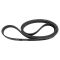 Serpentine Belt