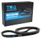 Serpentine Belt