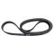Serpentine Belt