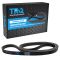Serpentine Belt