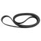 Serpentine Belt
