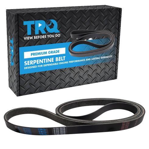 Serpentine Belt