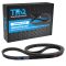 Serpentine Belt
