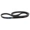 Serpentine Belt