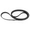 Serpentine Belt