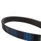 Serpentine Belt