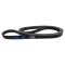Serpentine Belt
